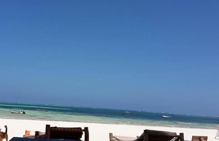 Sipano Beach Lodge Kiwengwa  Exterior foto