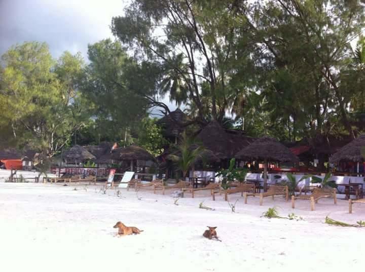 Sipano Beach Lodge Kiwengwa  Exterior foto